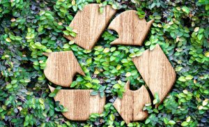 How to boost the eco-friendly credentials of your printing business