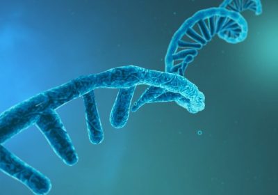 Top RNA Physicians In The USA